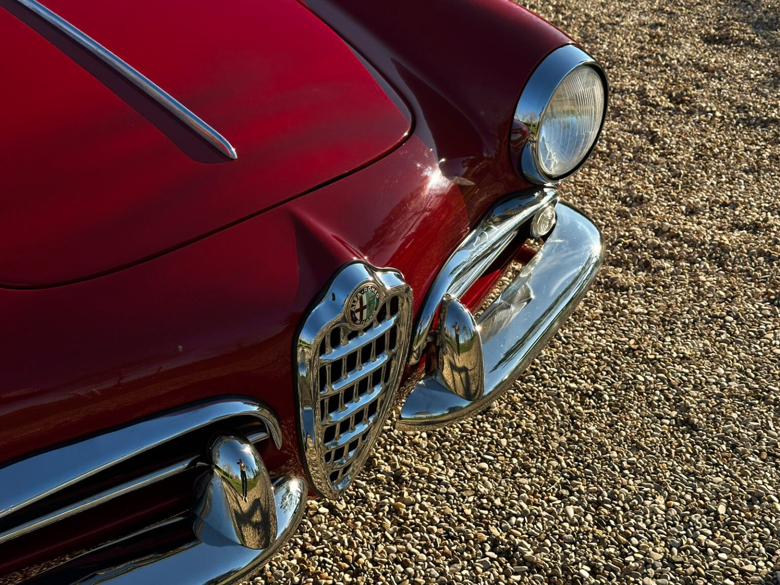 WhatsApp Image 2025-12-31 at 16.18.48