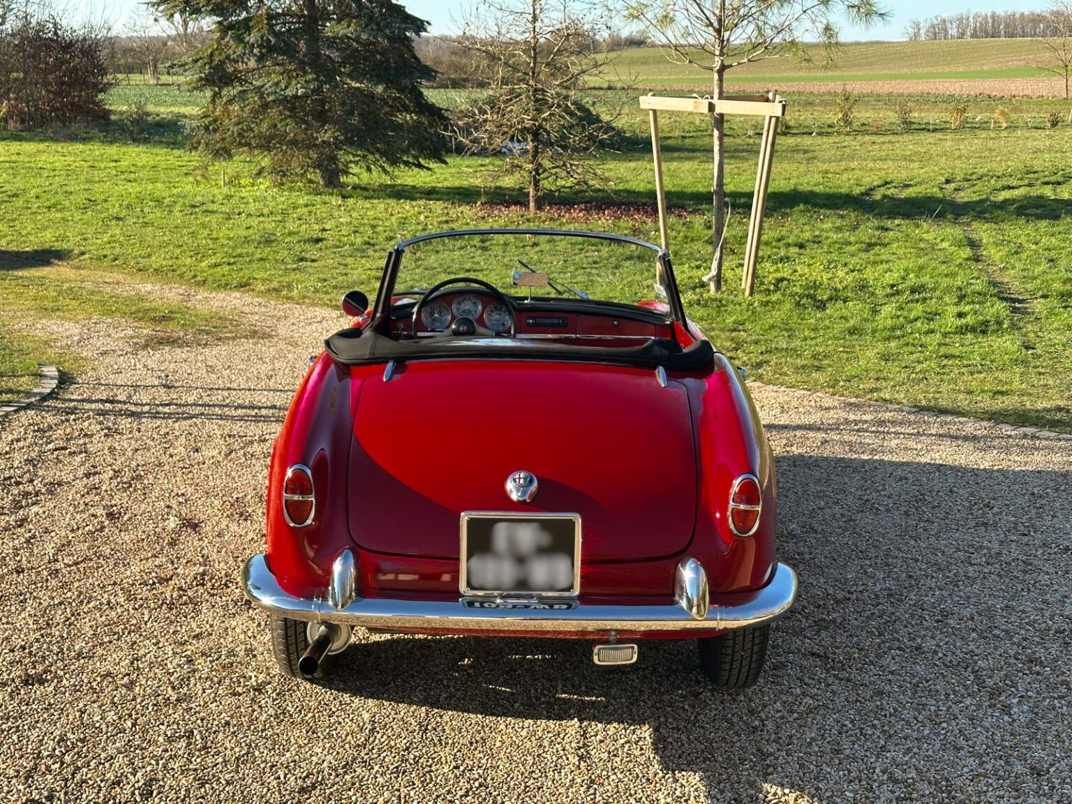 WhatsApp Image 2025-12-31 at 16.18.57