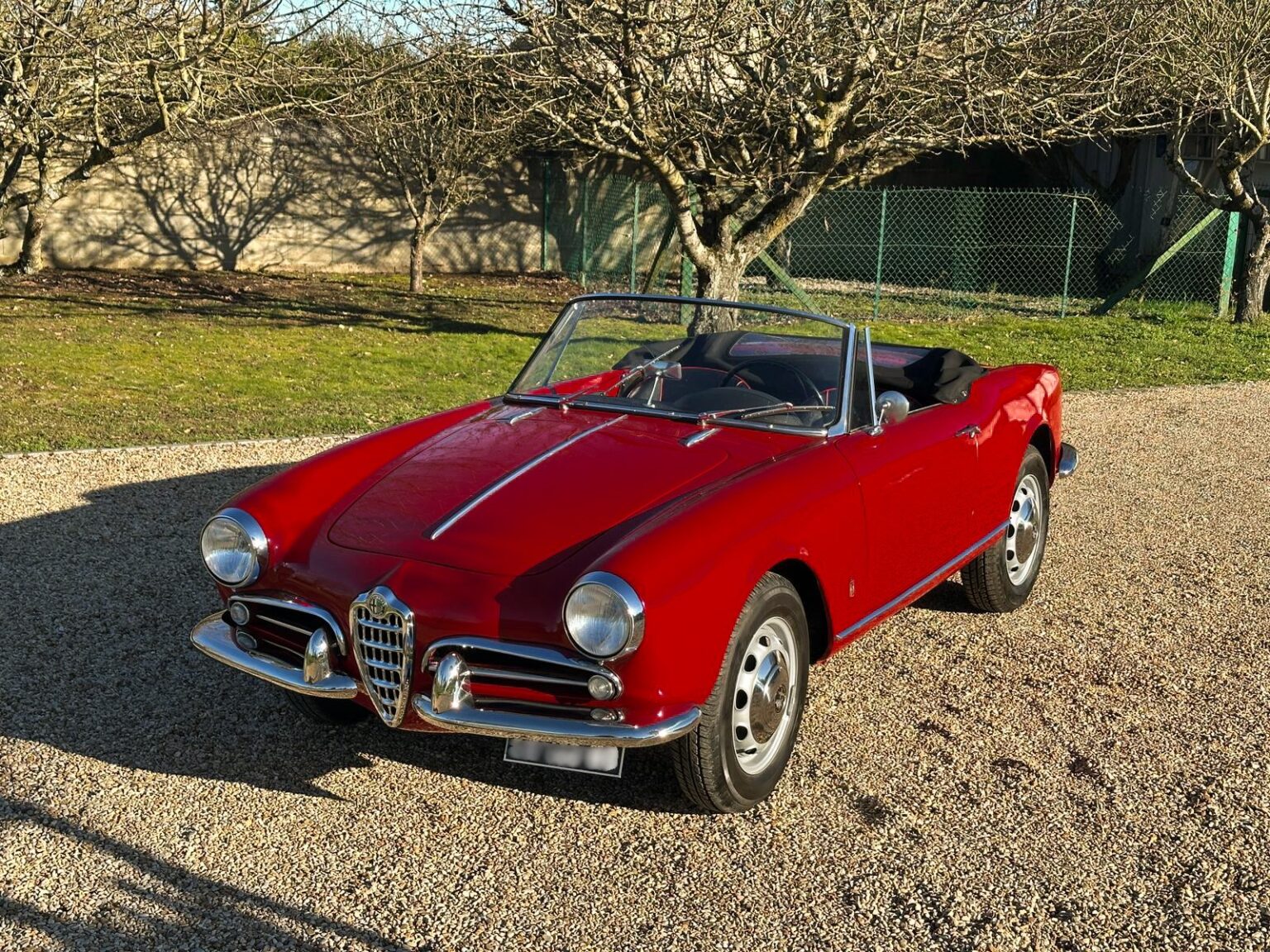 WhatsApp Image 2025-12-31 at 16.19.06