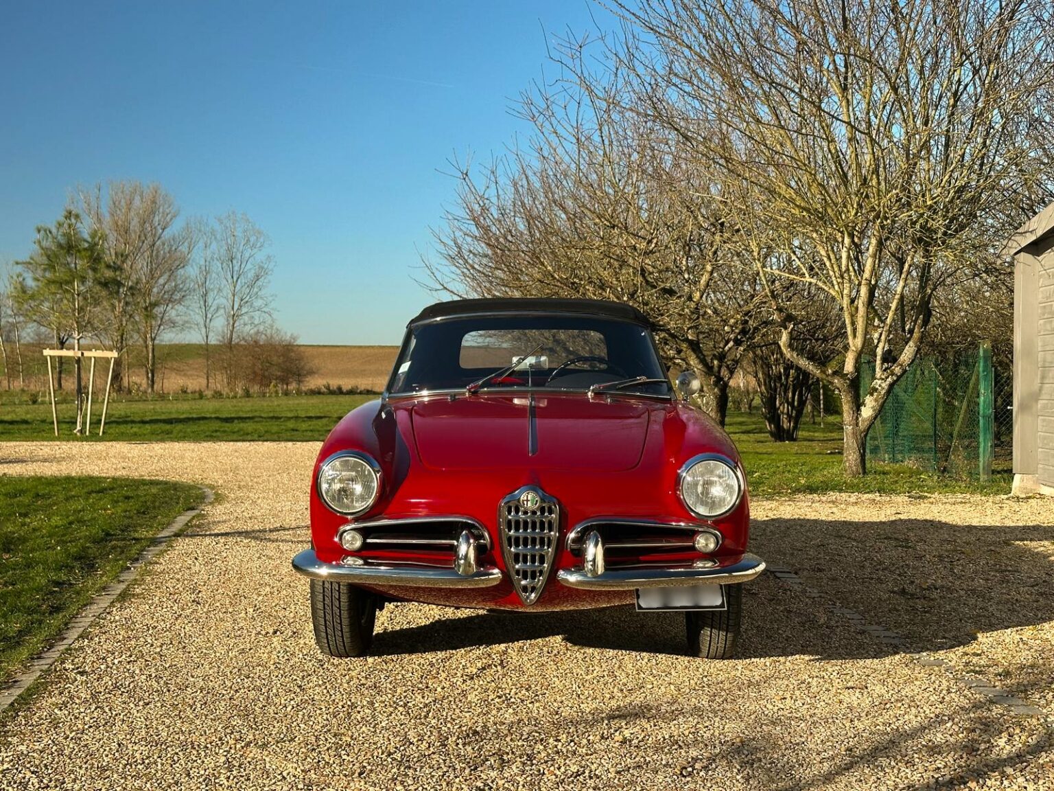 WhatsApp Image 2025-12-31 at 16.22.34